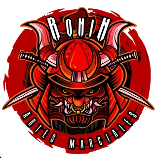 ronin artes marciales matamoros